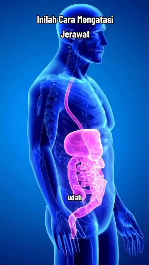 tips cara mengatasi jerawat