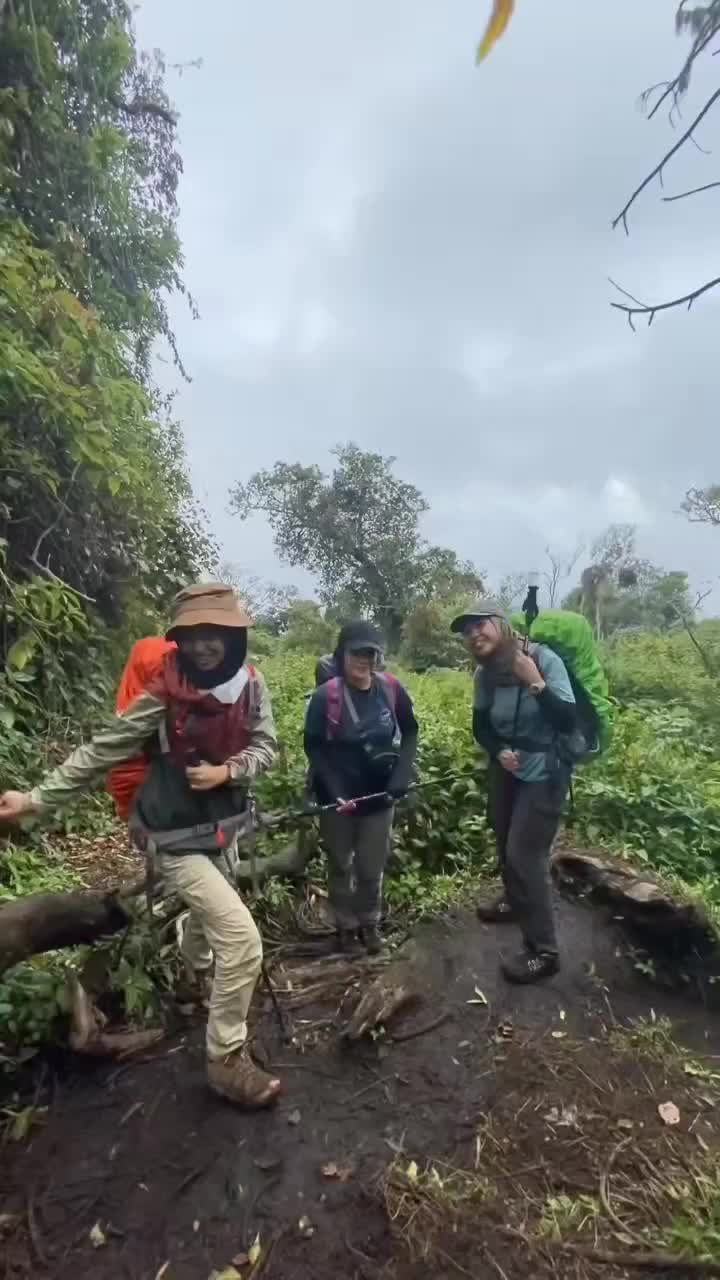 Panggilan Gunung (Rindu Gunung)
sama halnya Dengan rindu seseorang kekasih LDR yang mengatakan "AKU KANGEN KAMU"