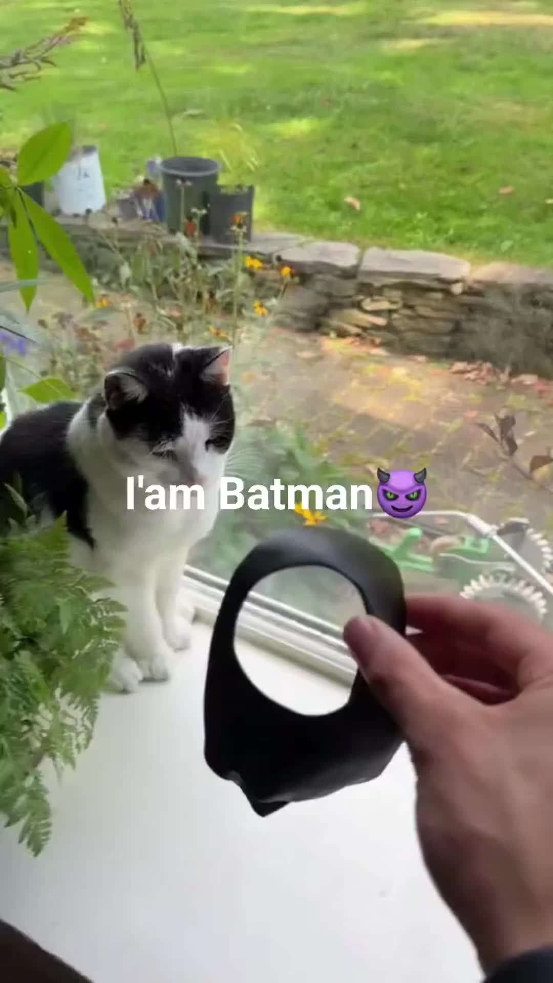 I am Batman
