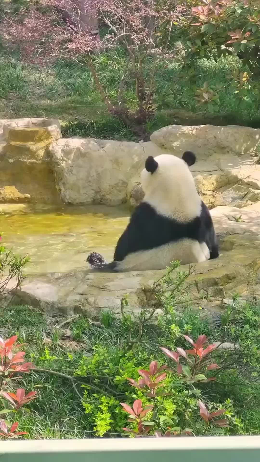 Berat banget - kayak lagi mikir negara