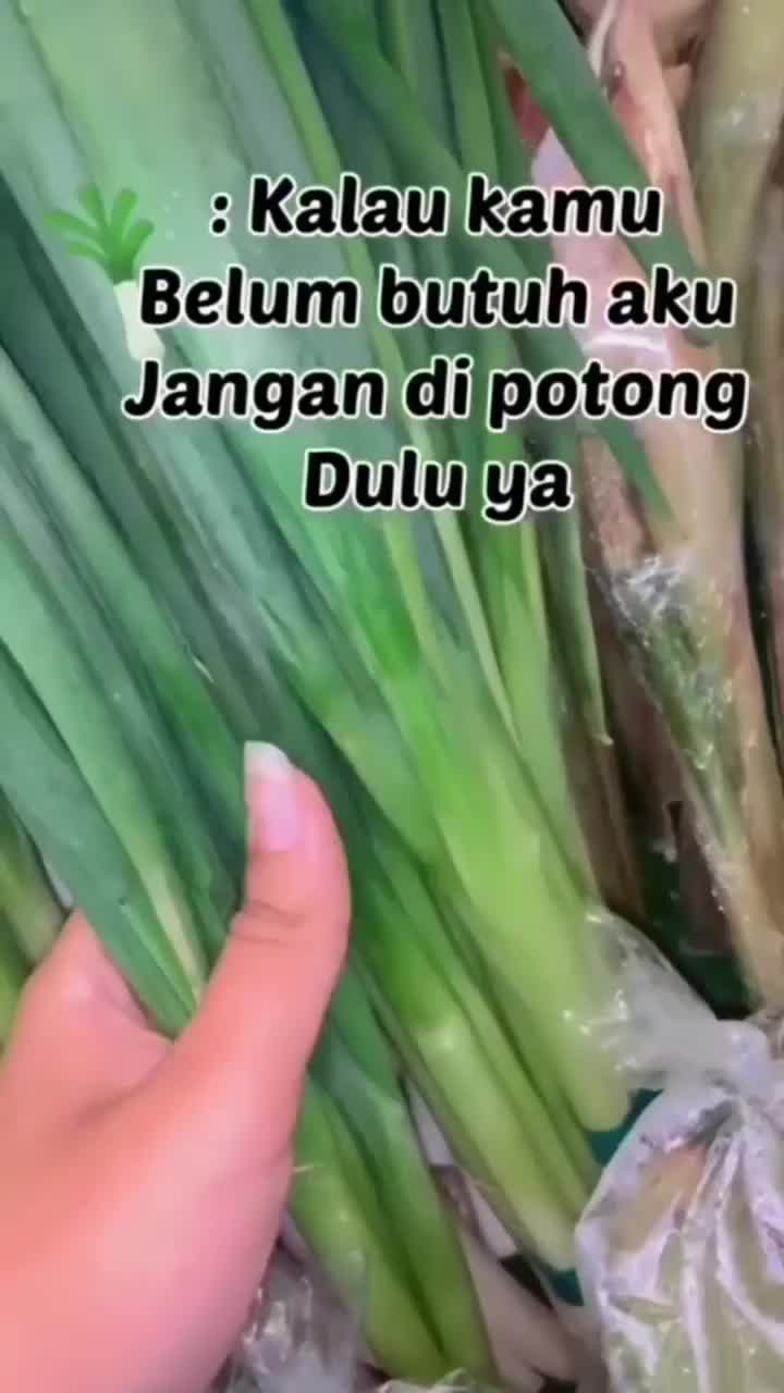 Cara Simpen Sayuran Supaya Awet