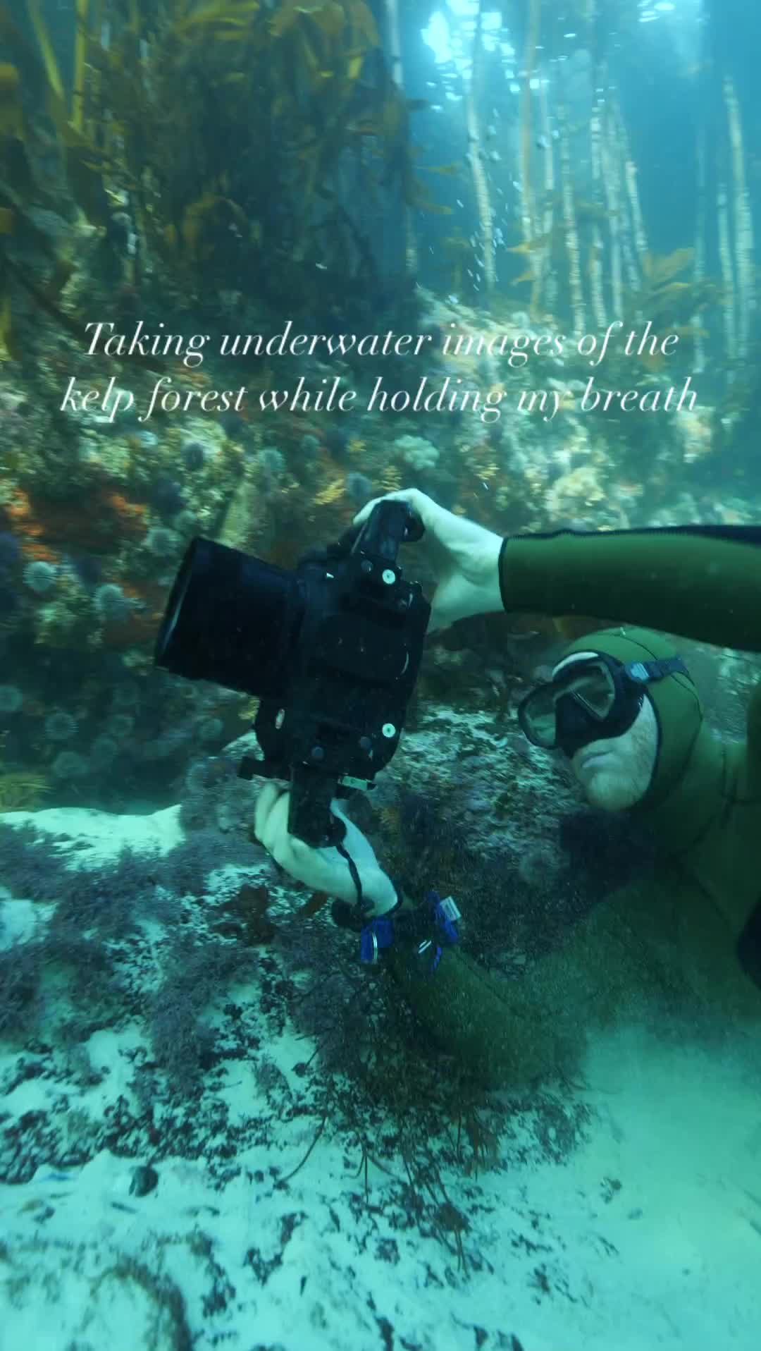 fotografer bawah laut