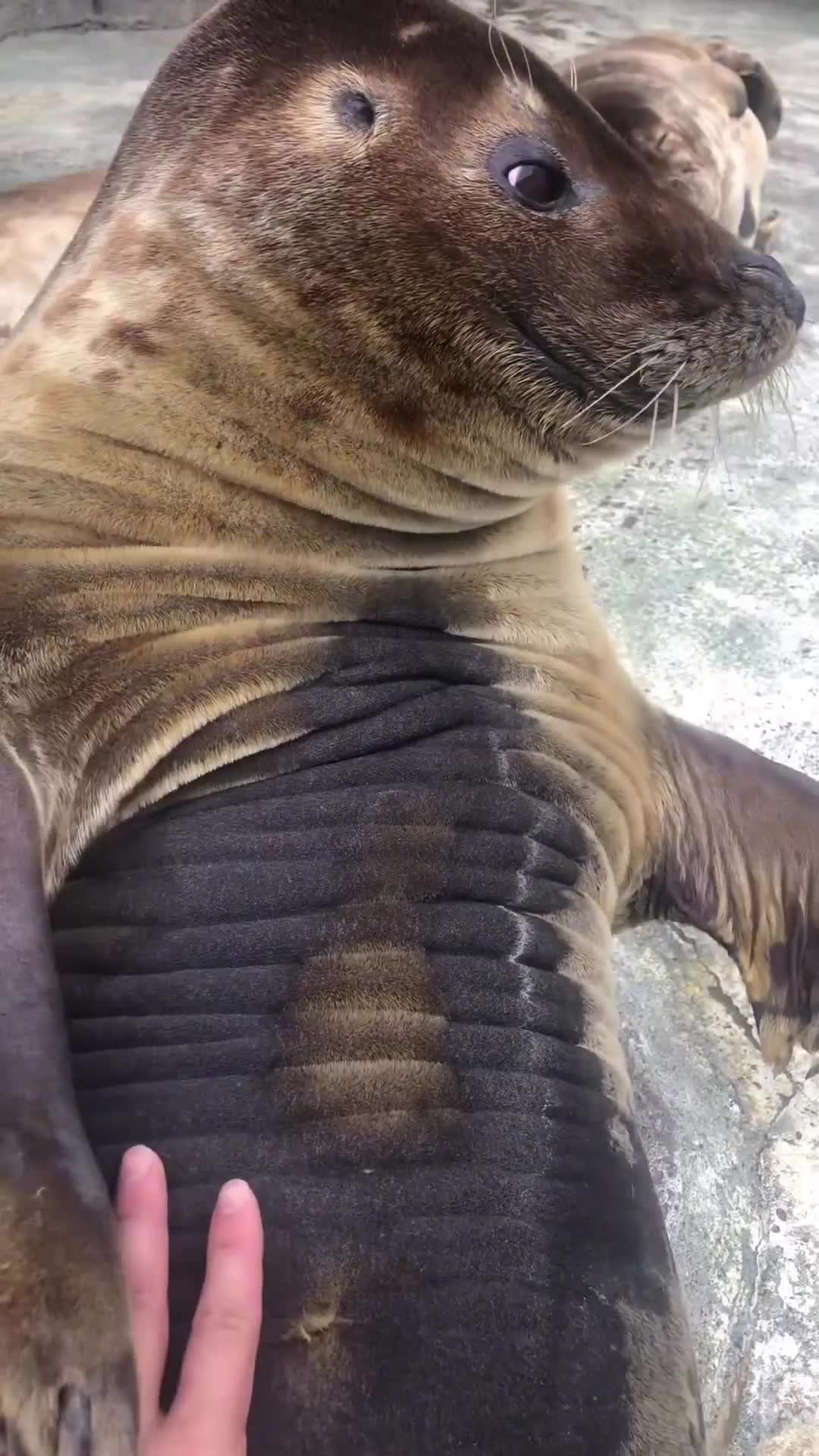 excuse me can I help u