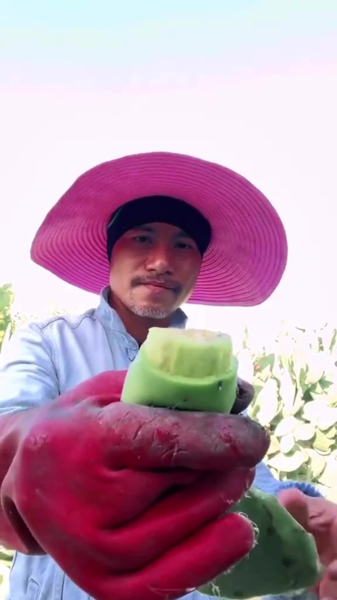 baru tau bisa dimakan