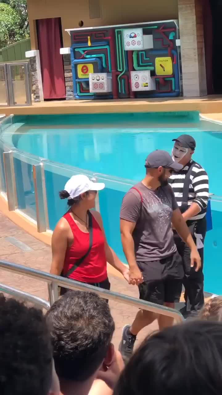 panggung hiburan di theme park