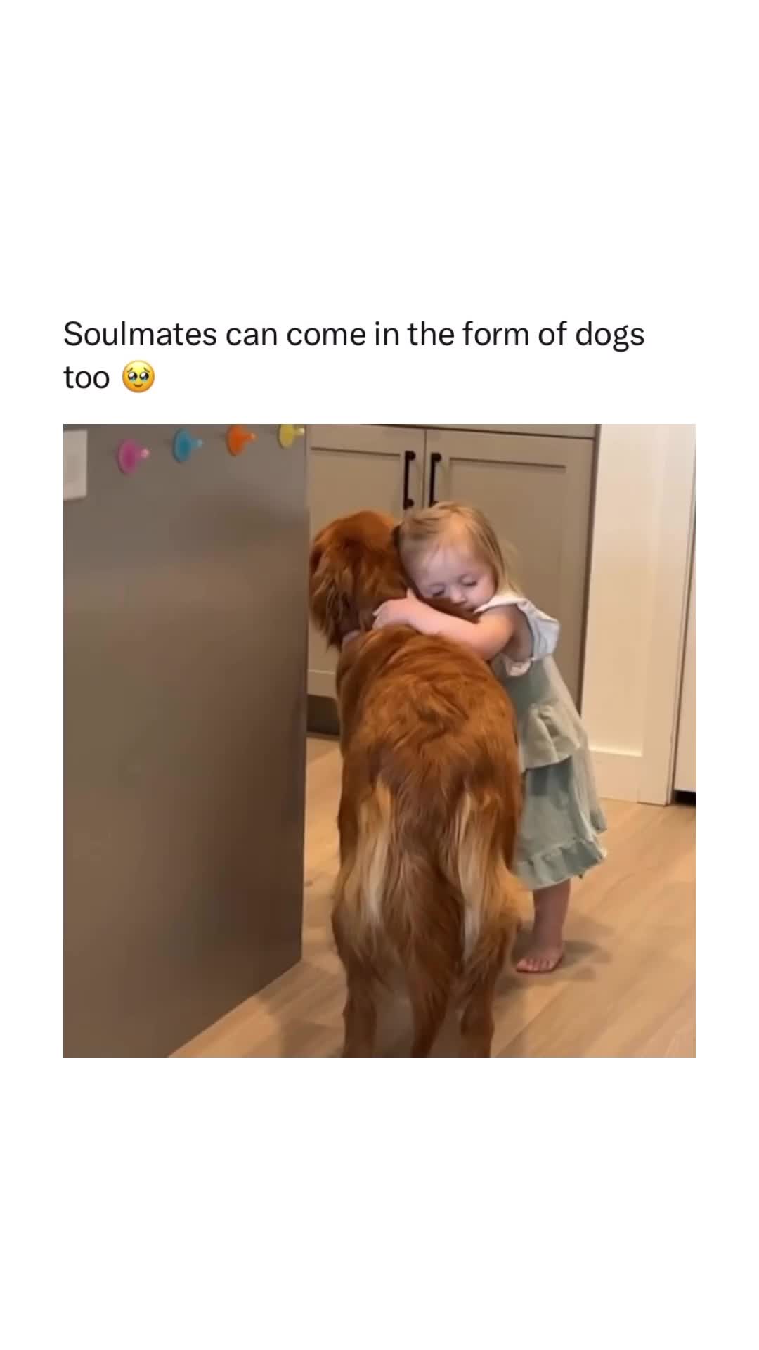 senang banget punya anjing kaya gini