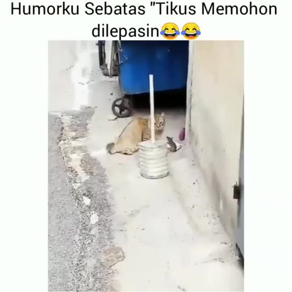 Kasian tikusnya