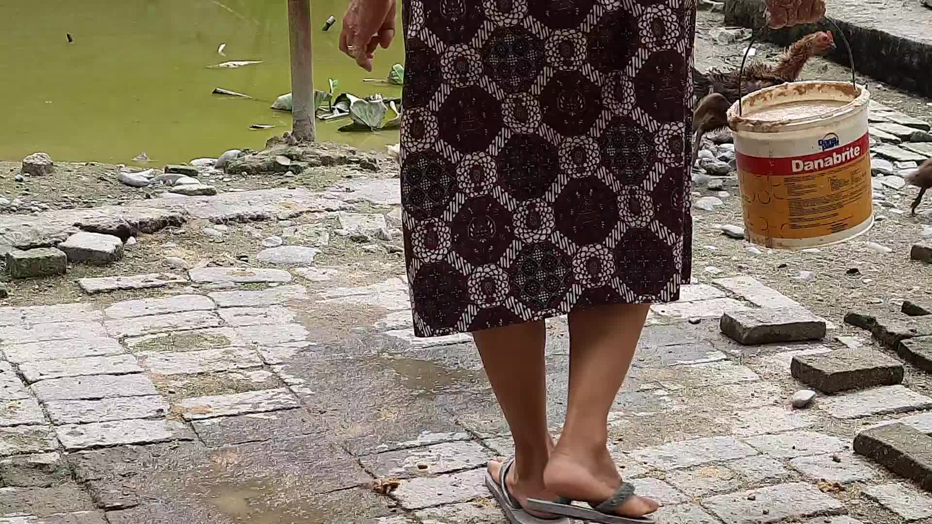 bebek ohh bebek mengapa engkau kwek kwek