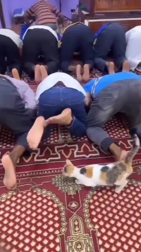Jadi ini pengganggu orang sholat