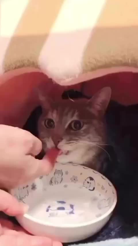 Makan air