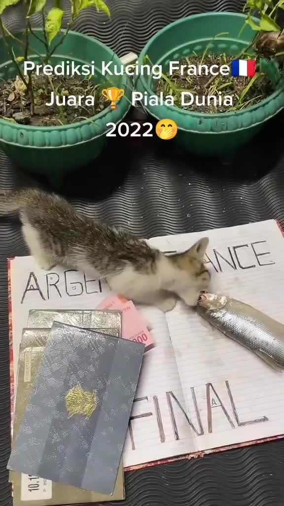Ini Mah Konspirasi Namanya