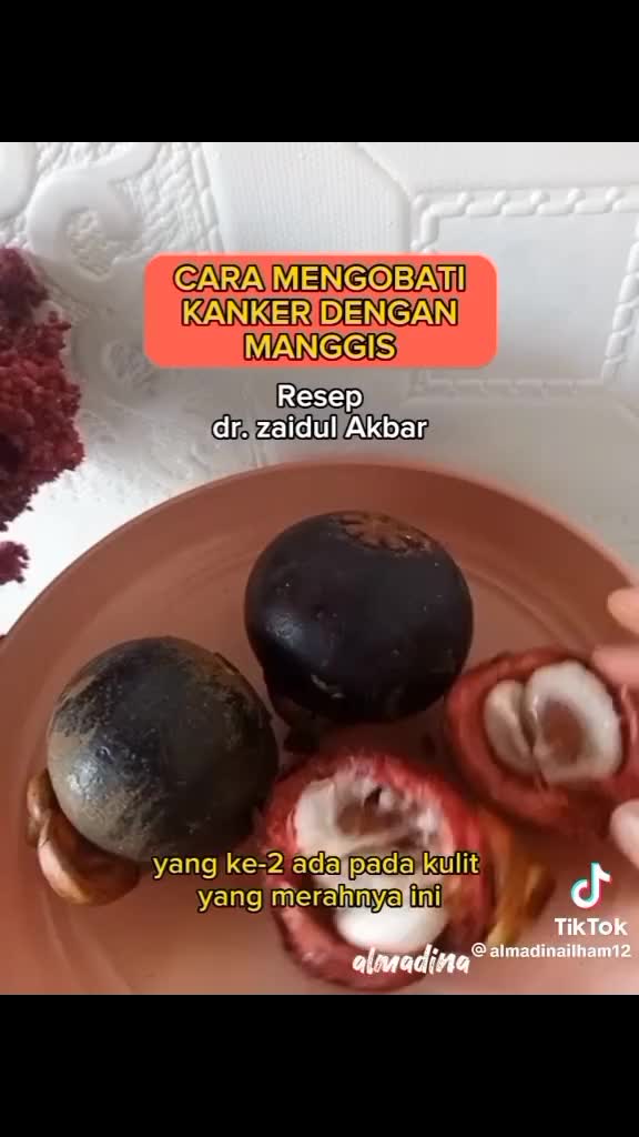 manfaat manggis