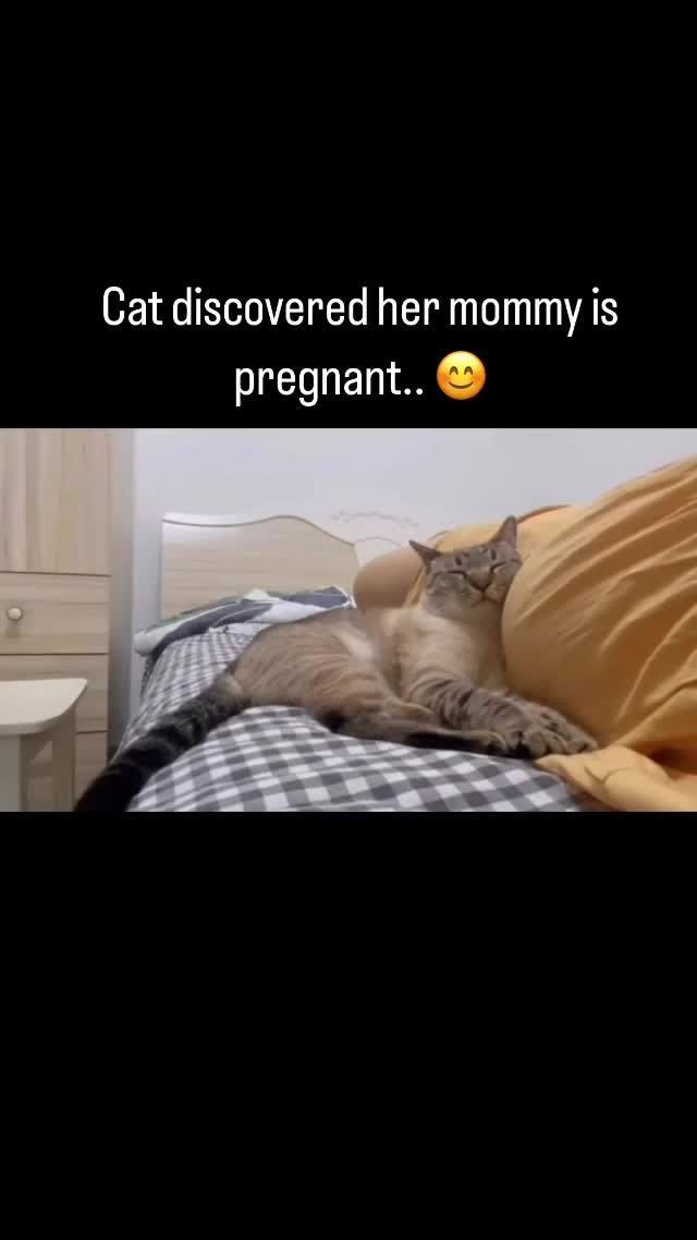 sangat perhatian