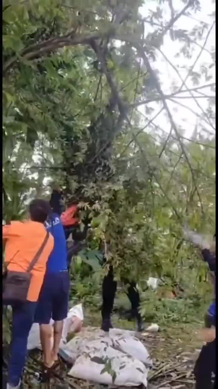 Gimana Cara Nyangkutnya Ya?