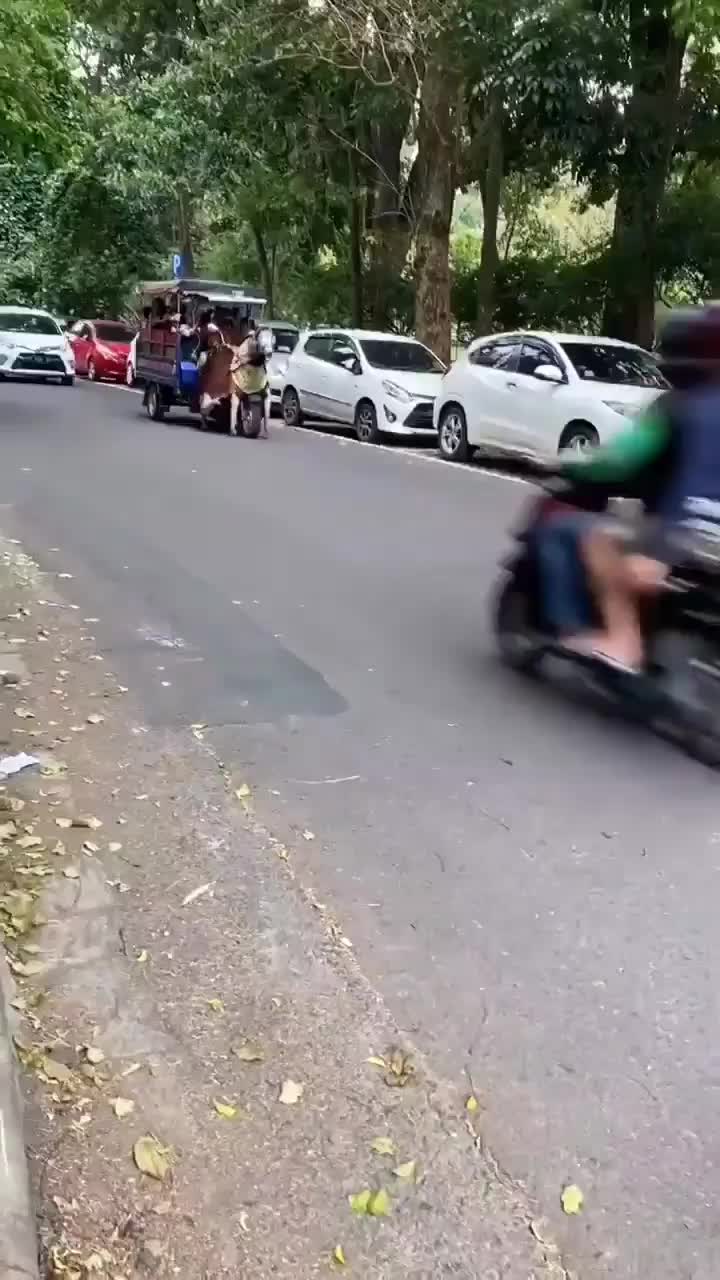 Kudanya Versi Apa Nih?
