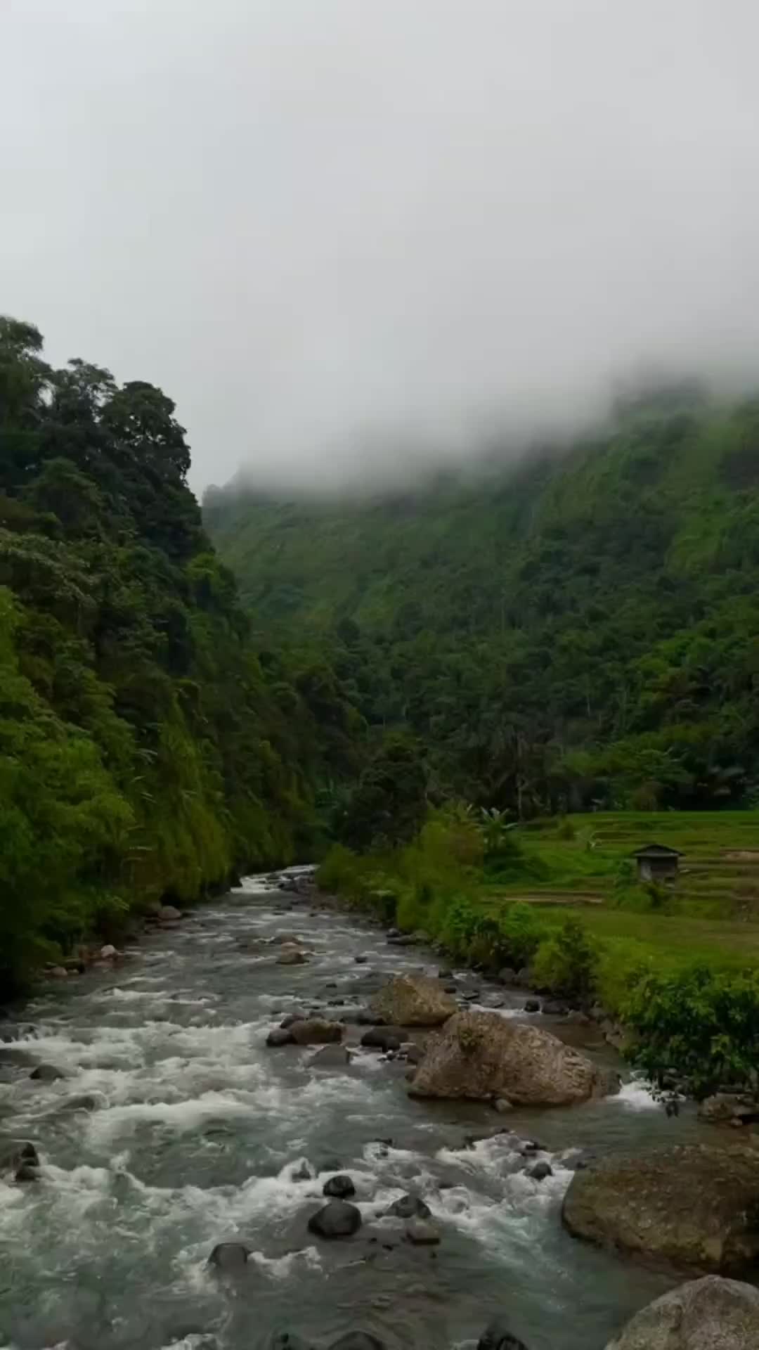 Bonekanya Ternyata Binaragawan