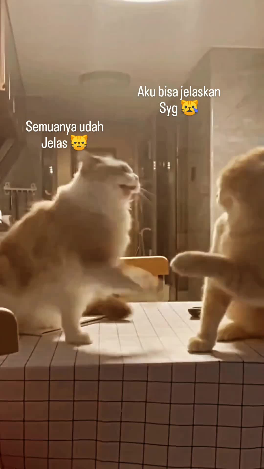 please sayang, aku bisa jelasin semuanya kok