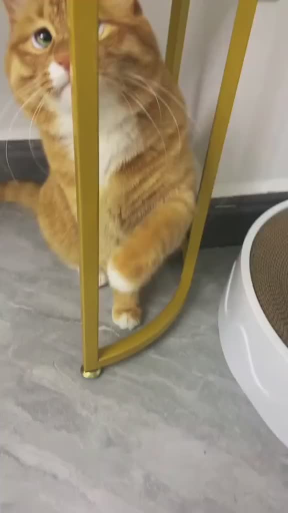 Oyen kenapa sedih gitu 