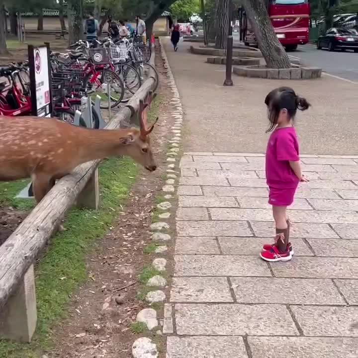 rusanya kaya beri salam