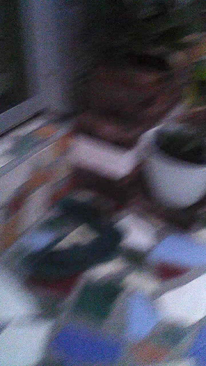 my dayli activity in the morning,ngasih makan kucing,nyiram tanaman n ngasih makan ikan.....#showyourtalent bantu vote share like