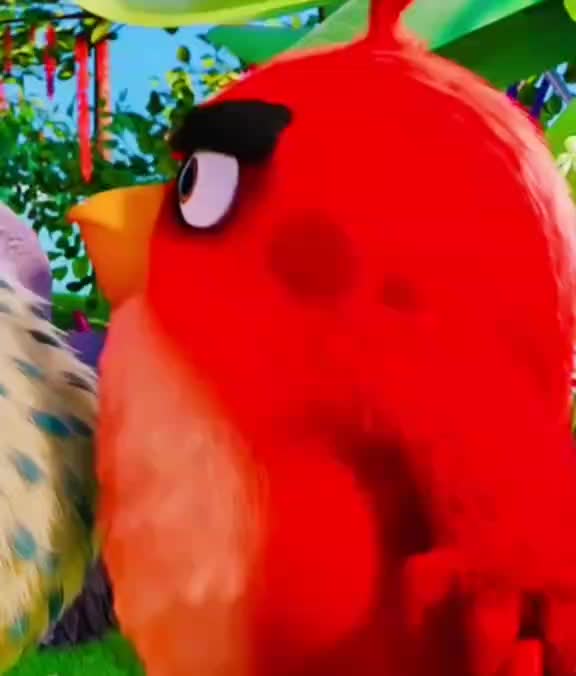 Angry bird part 2