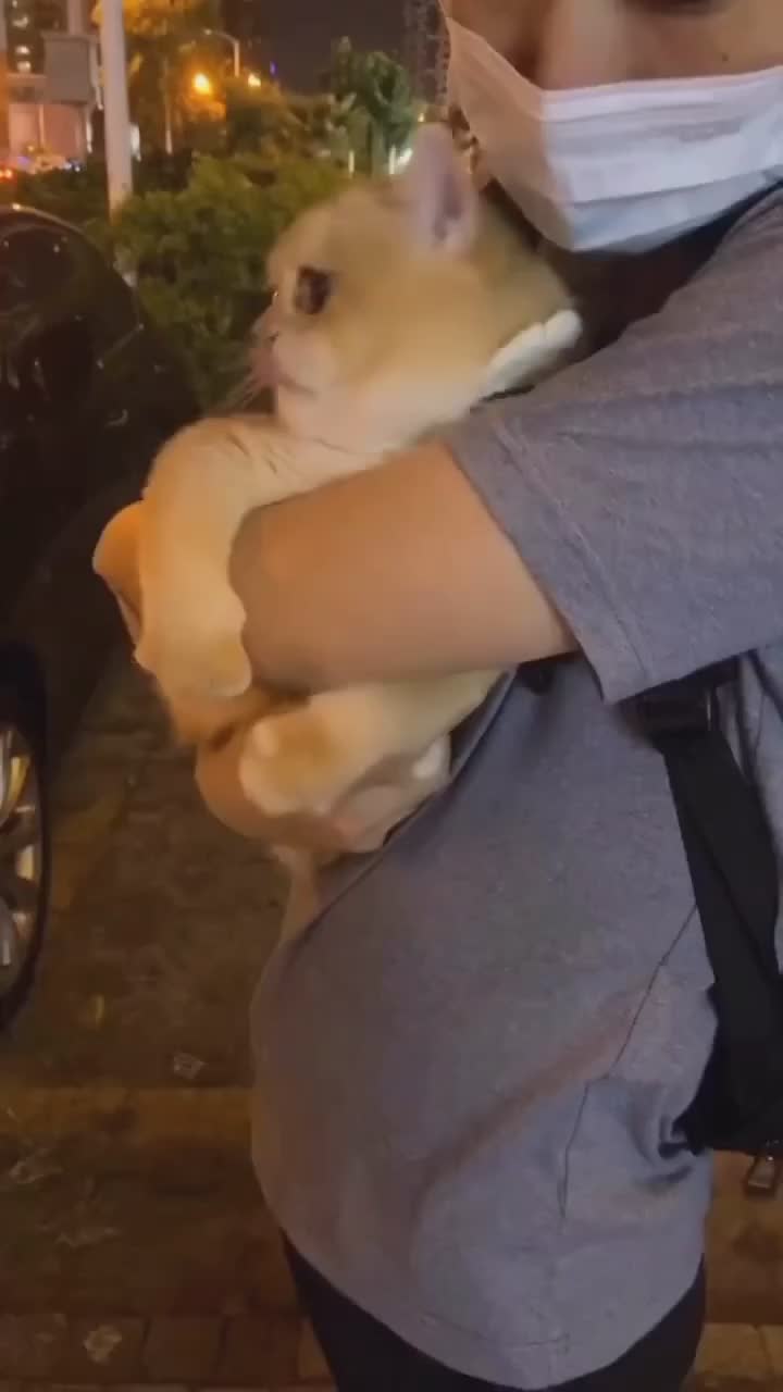 Papah aku takut