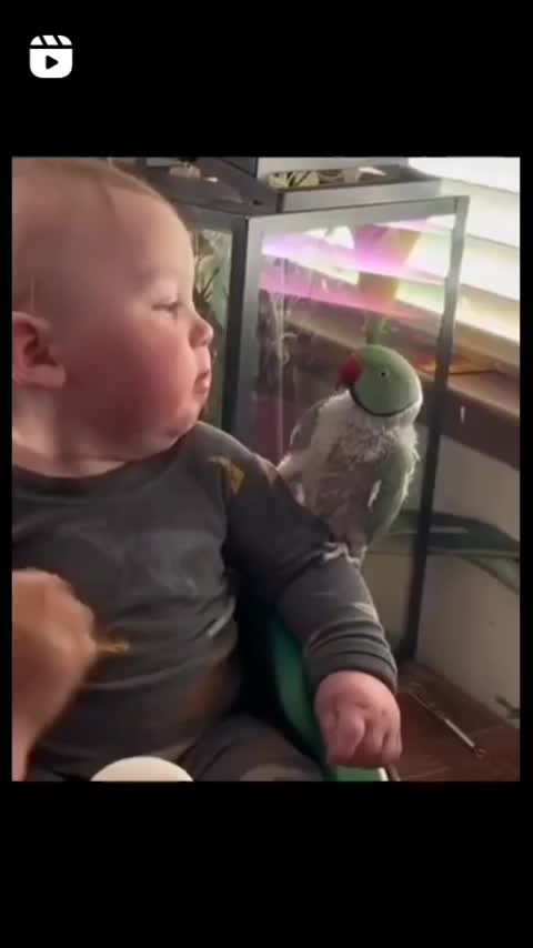 Ciumm dulu sinii piw piw