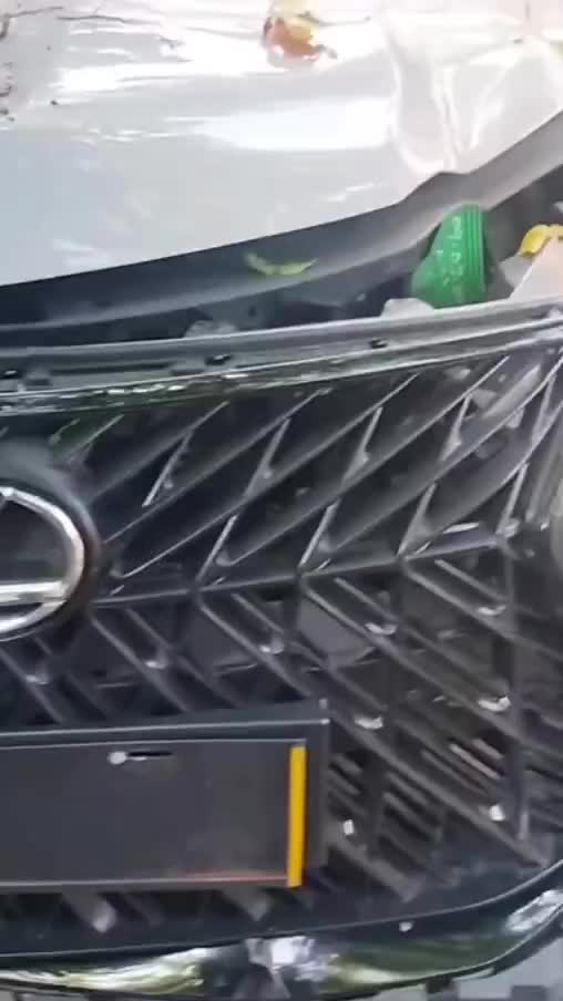 iseng mau kenalan sama pohon