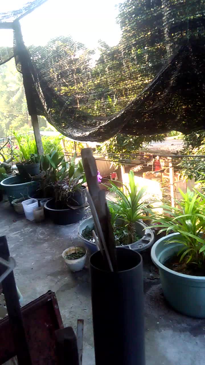 Bikin lirik lagu sendiri...#originalsong