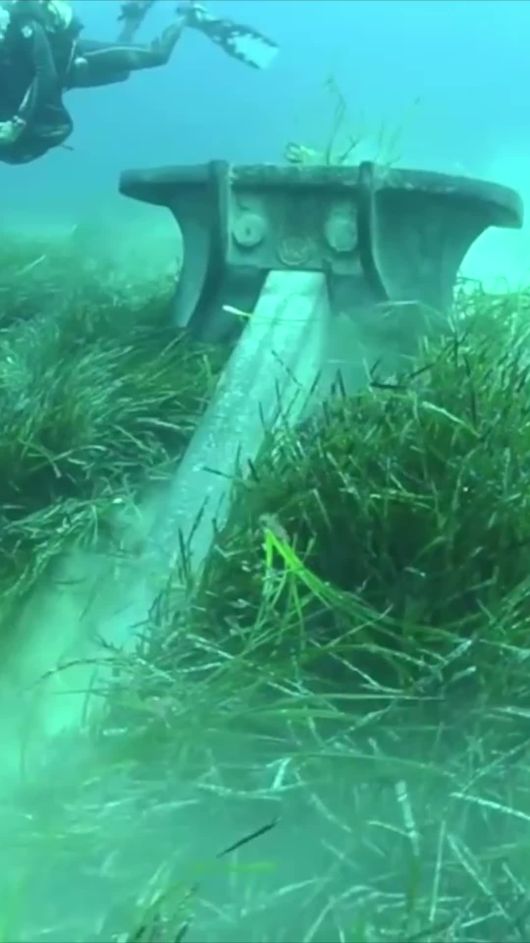 jangkar kapal bisa merusak biota laut