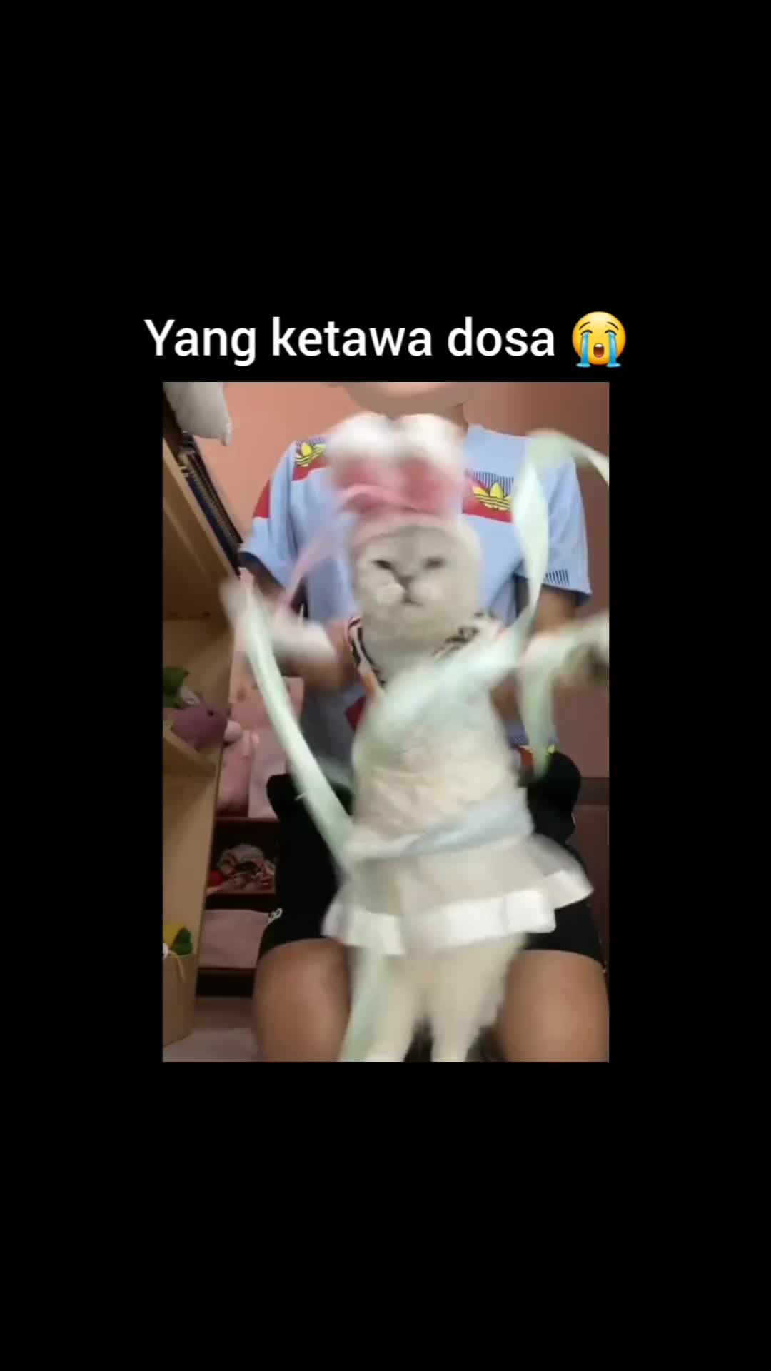 hahaha I'm queen owh pawncer