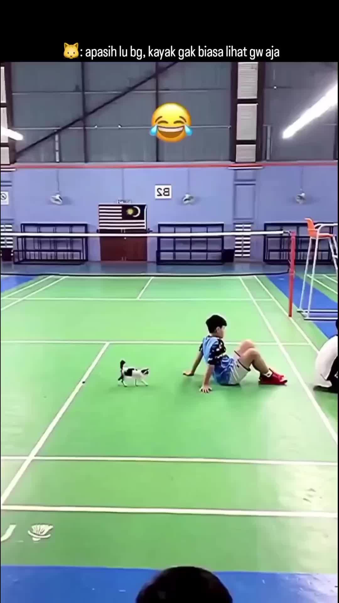 garang ni kucing