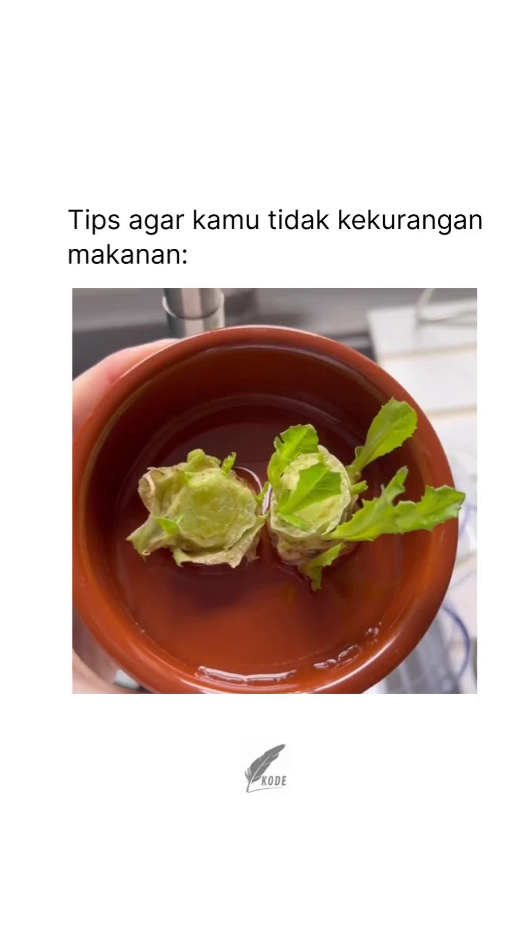 otw jadi petani millenial modern 