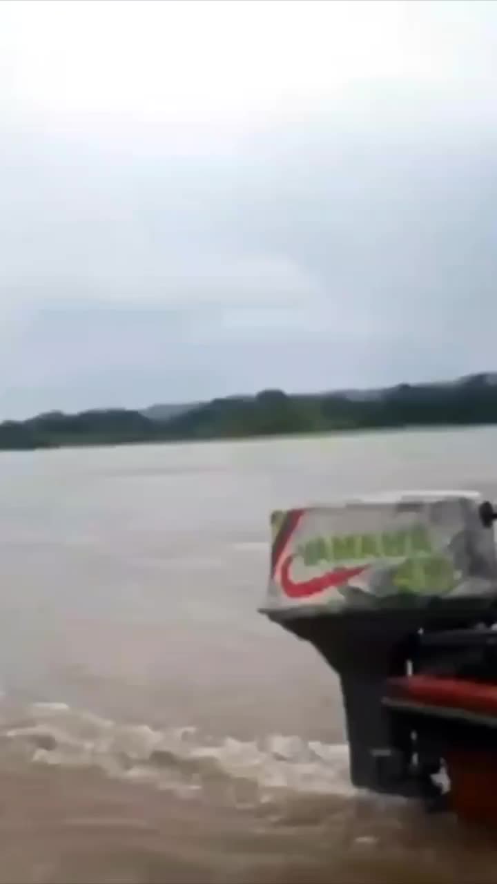 siap kirim laut,darat,dan udara