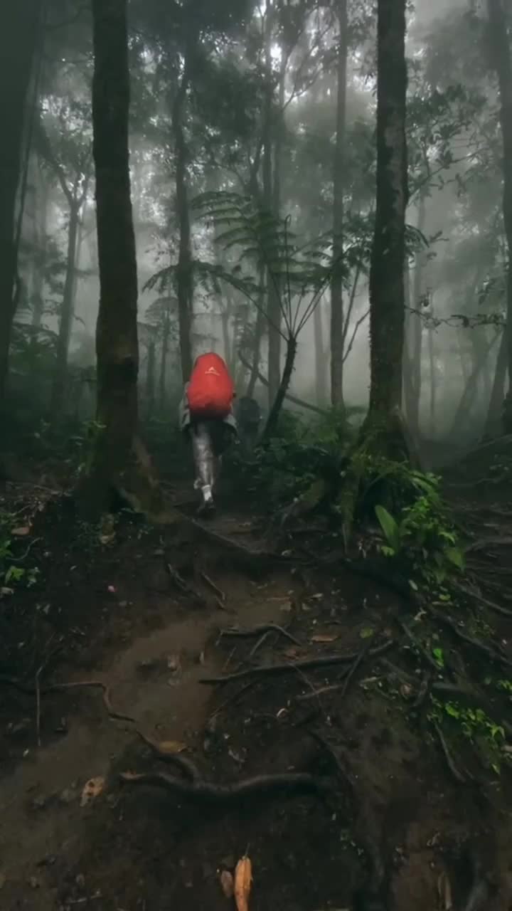 Vibesnya bikin kangen 🍃 Coba tebak kira" ini gunung mana?