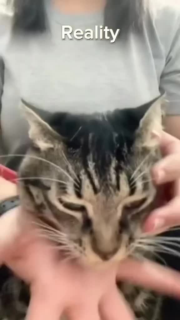 expectation dan realita