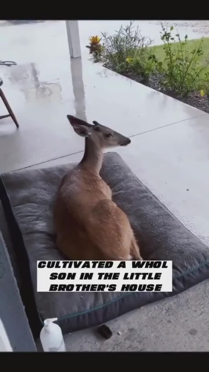 Terima kasih orang baik