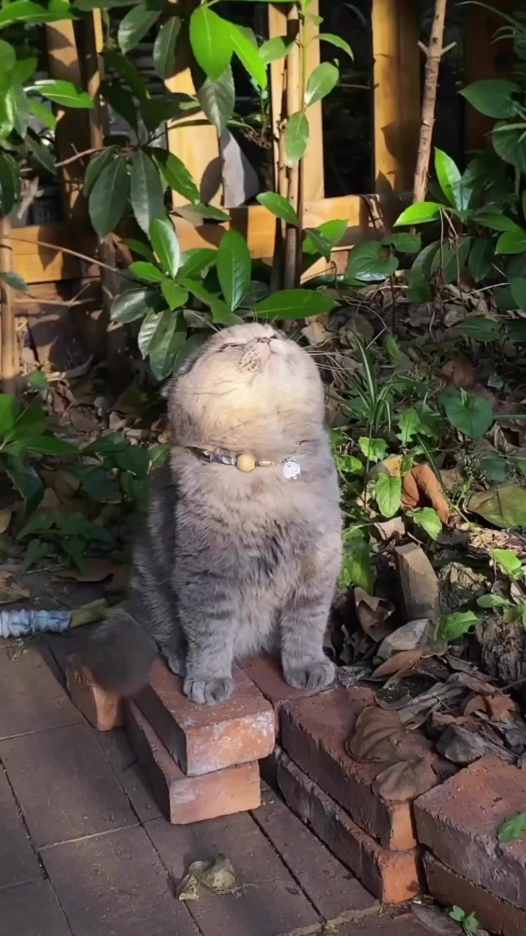 Lagi nikmatin sunbathing