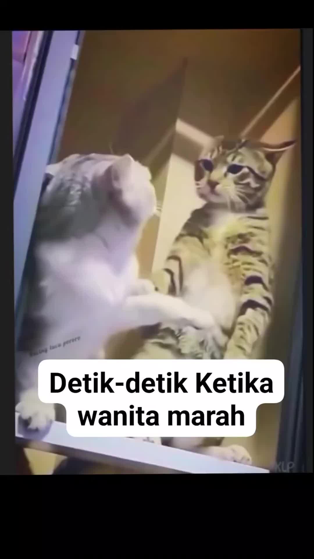 nggak sabar banget sih