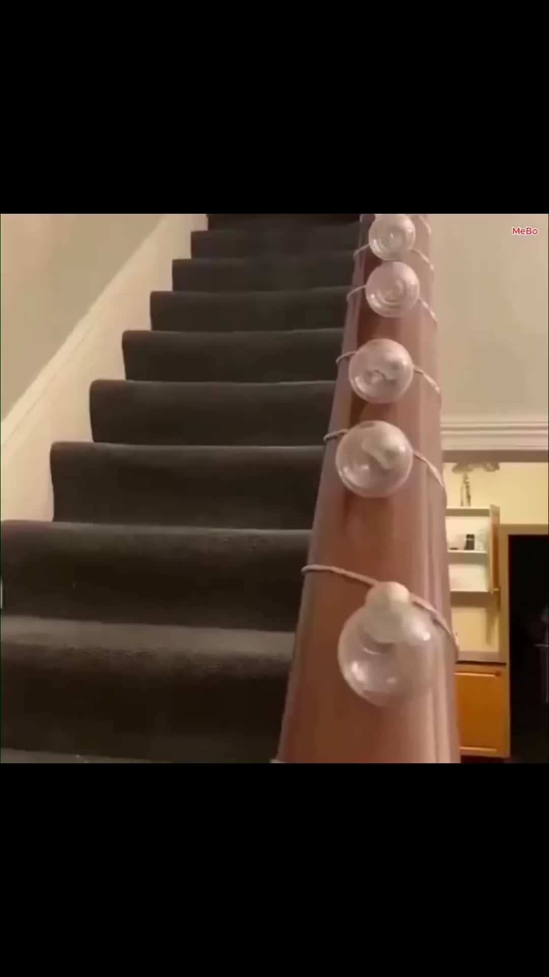 young dumb..and funnyy