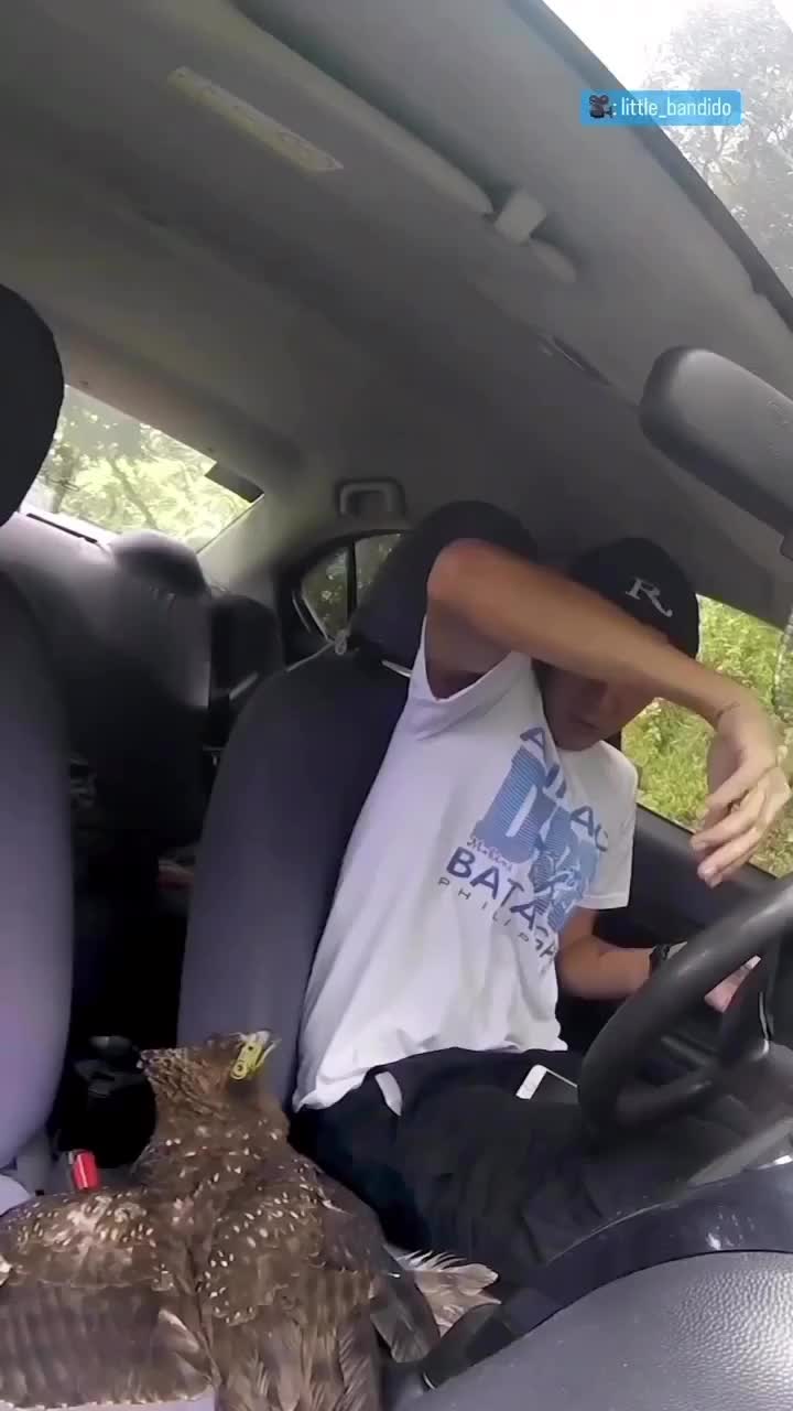 Numpang ye bang, saya cape terbang