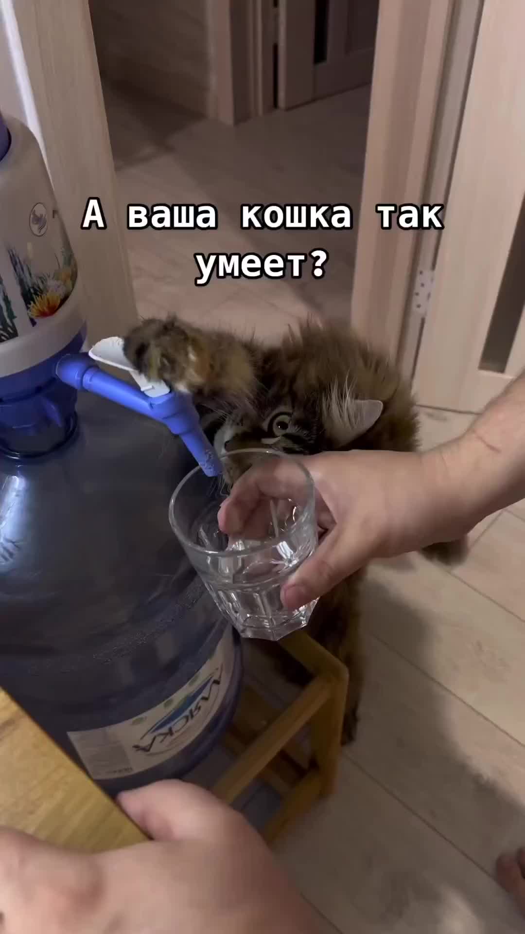 Tukang mencetin air galon
