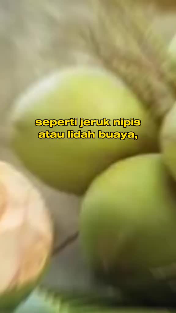 cara detox dengan kelapa muda