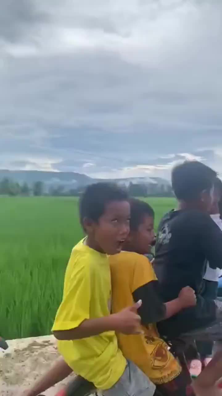 Lagi Pengen Nyium Sawah
