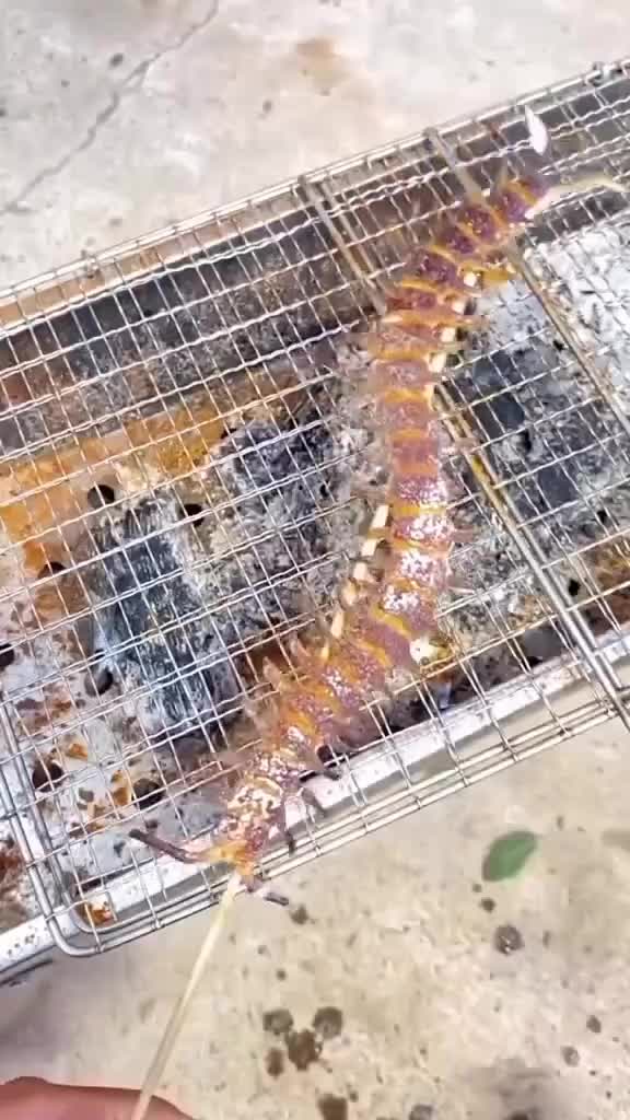 Vegan kalo pengen makan daging bilyke