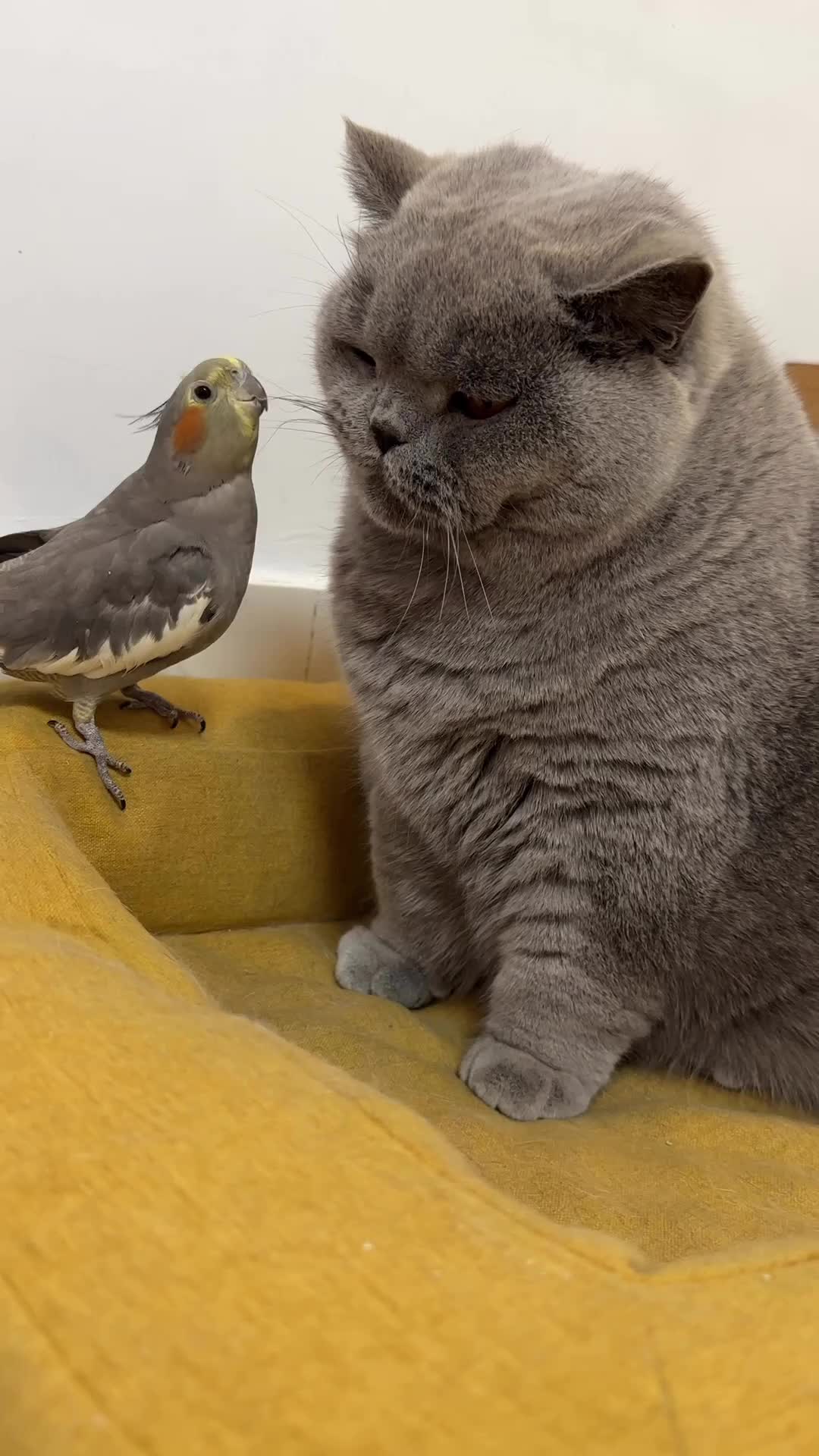 persahabatan yg cute