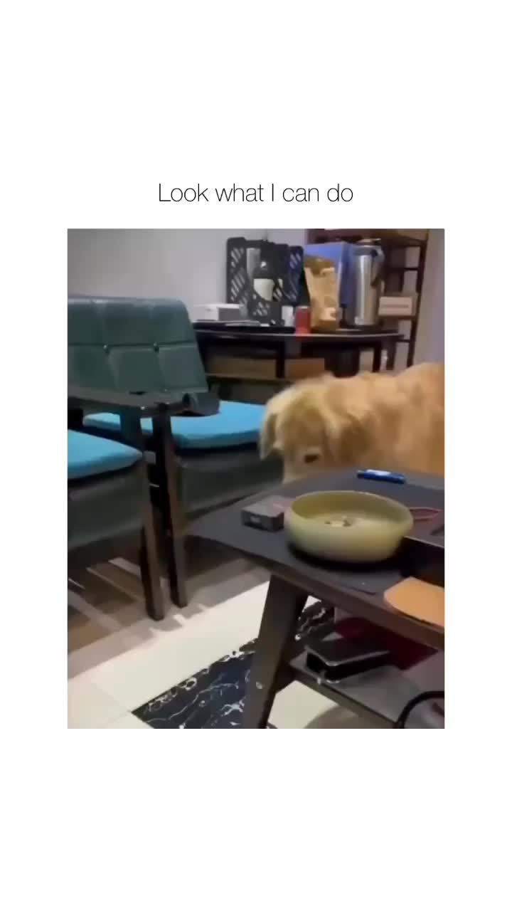 aku bisa ini, kamu bisa ngga?