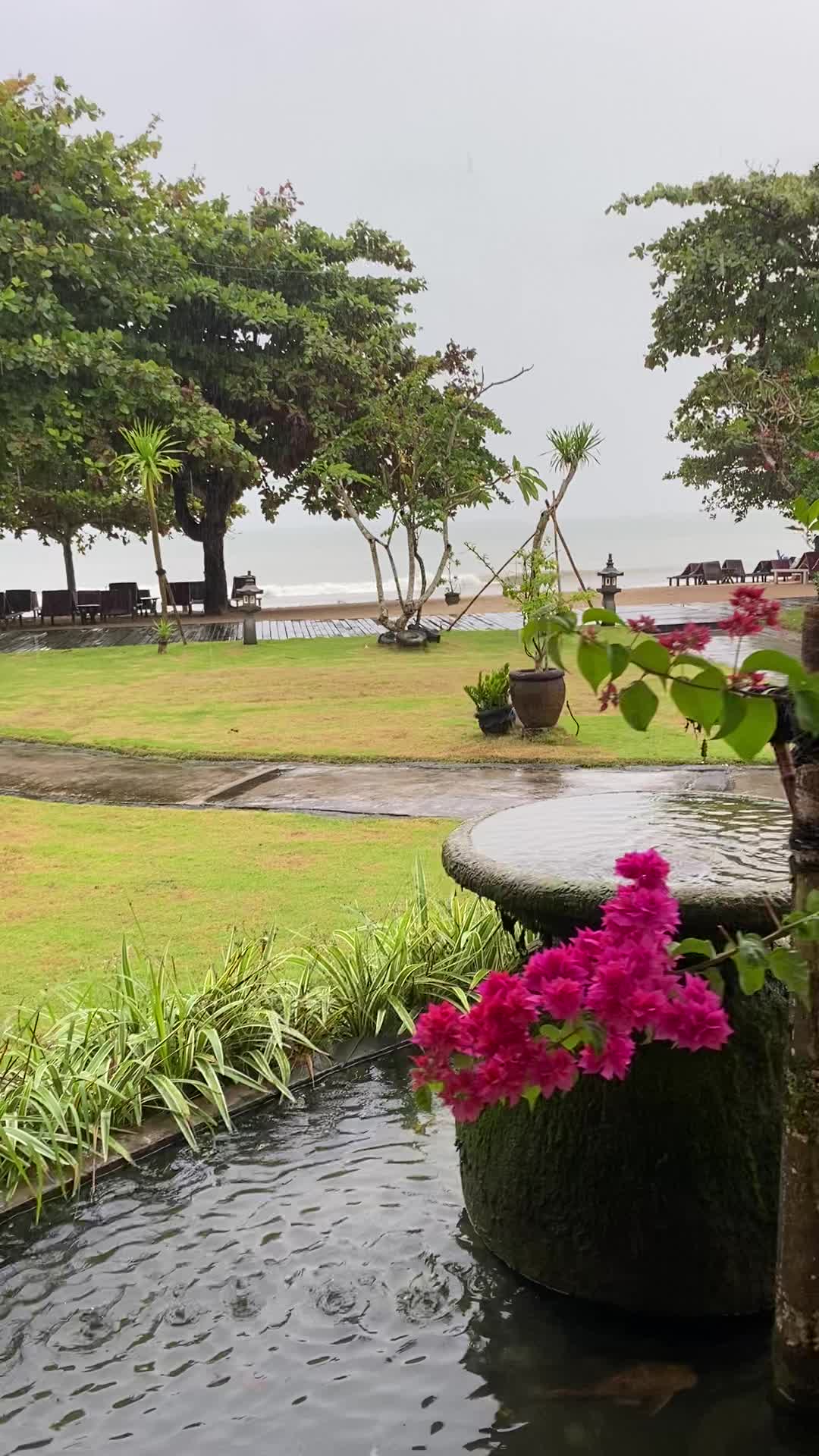 Jadi mager krn hujan pagi saat liburan di keraton beach resort jimbaran bali:) teresa 8 tahun. Instagram: teresa_sylviliana