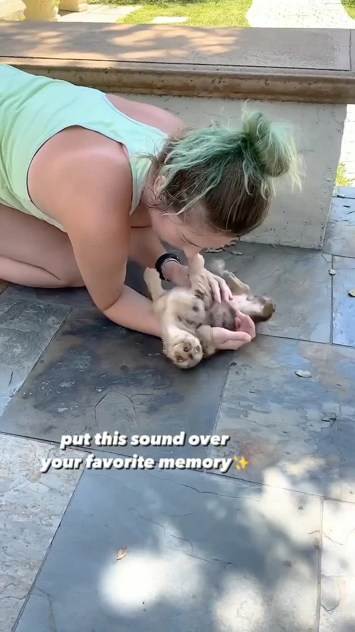 Eh anjingnya kaget