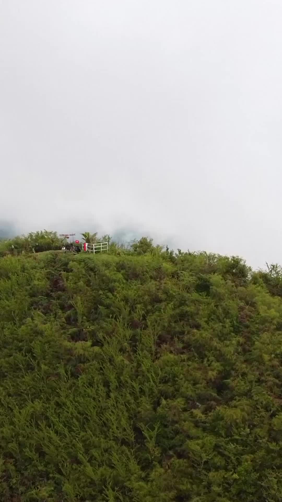 Pesona Gunung Hauk 1325 MDPL 📍: Gunung Hauk, Pegunungan Meratus, Balangan, Kalimantan Selatan 🚁: @tony.elfatih